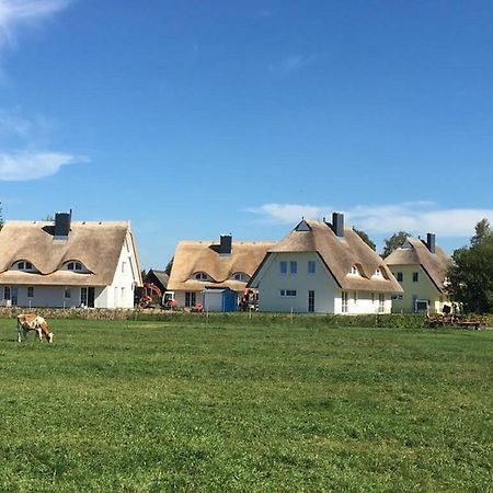 Reetdachhaeuser Boergerende Esterno foto