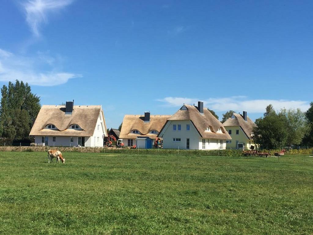 Reetdachhaeuser Boergerende Esterno foto